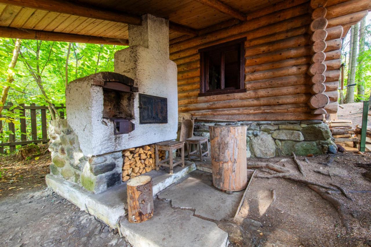 Forest Home Relax Borzont Ngoại thất bức ảnh